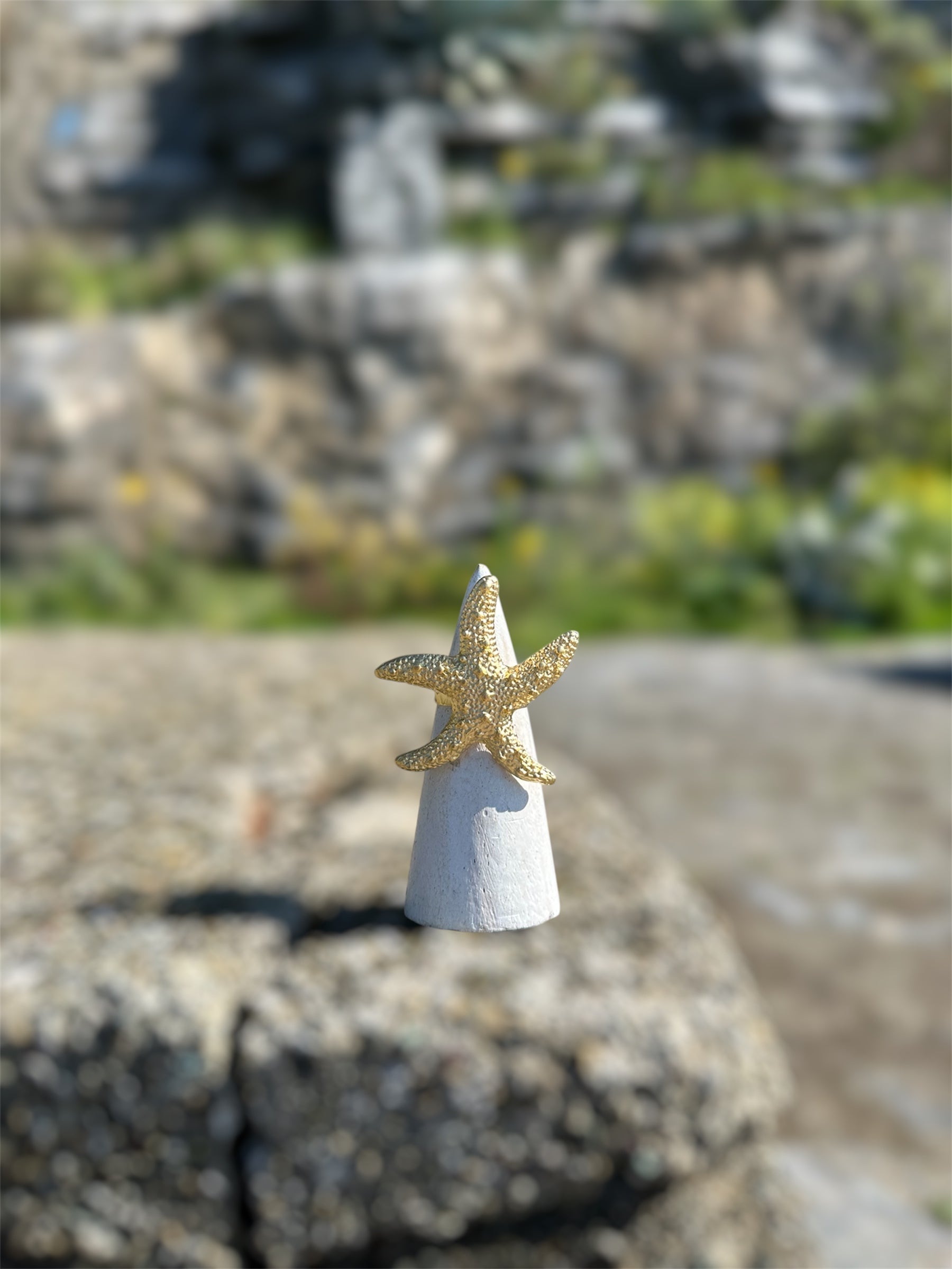 ANELLO stella marina