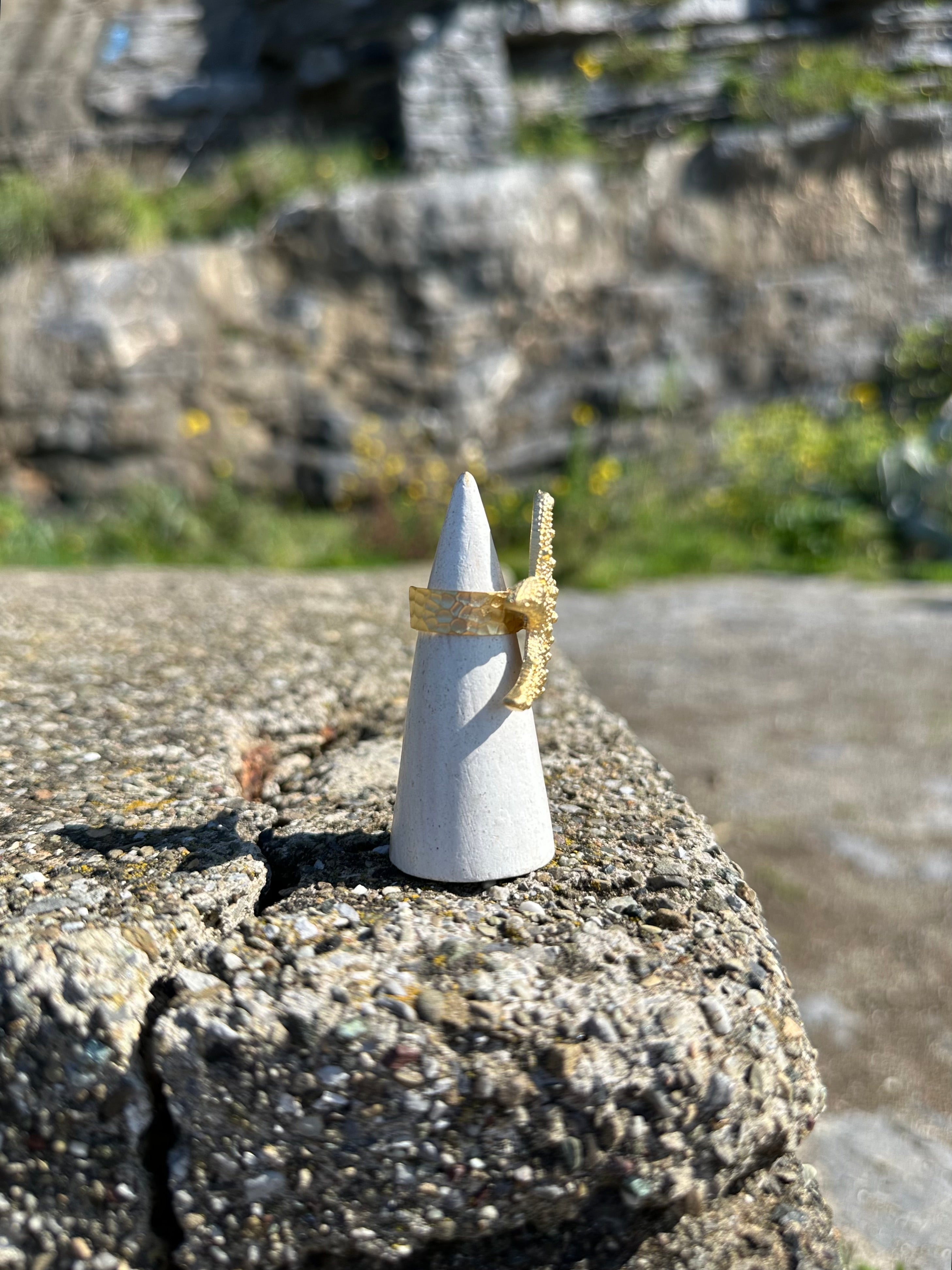 ANELLO stella marina